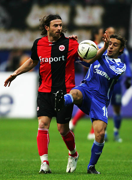 浓眉单核模 浓眉单核模